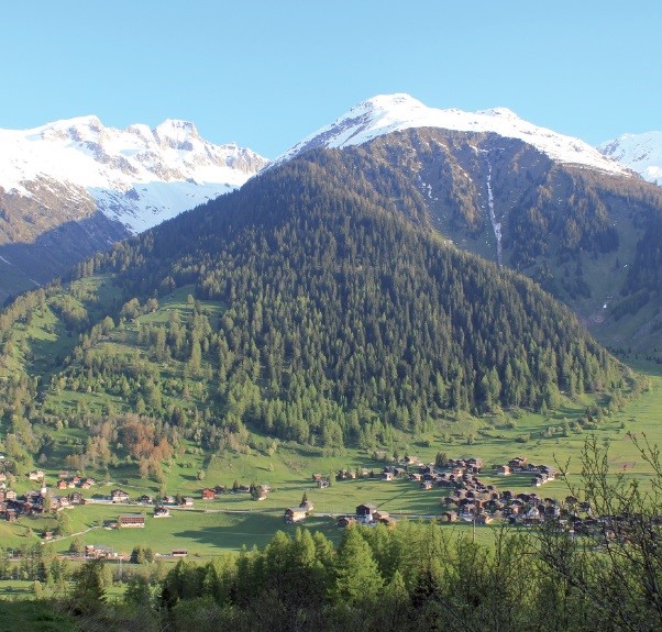 Forst Goms / Syndicat de gestion forestière de la vallée de Conche – 2013 - Sophie und Karl Binding Stiftung - Umwelt – Soziales – Kultur: Headerbild