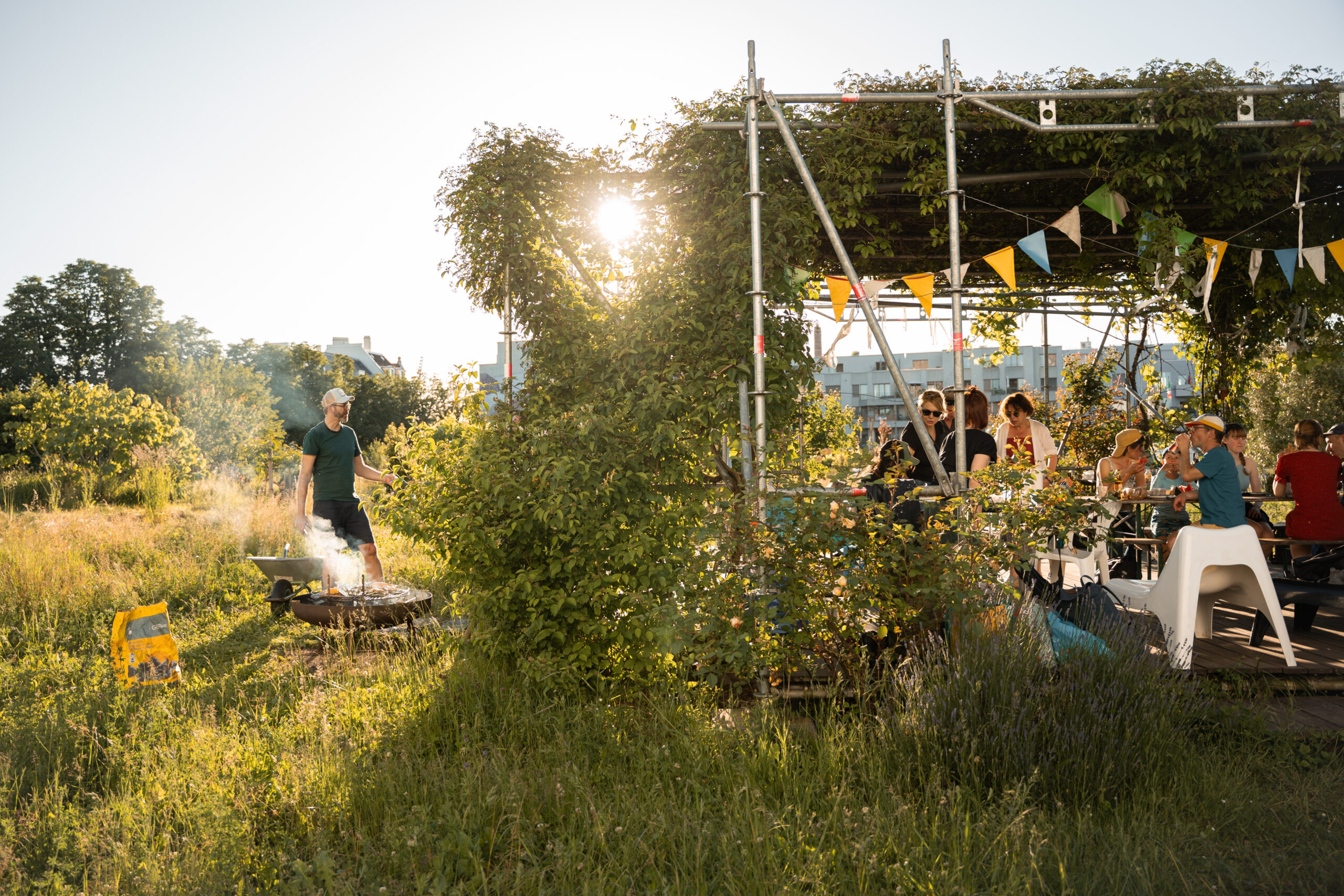 Eine begrünte Pergola mit Menschen die beisammen sitzen und Essen, links davon grilliert ein Mann über einer Feuerschale. Quartiergarten Hard. Binding Anerkennungspreis 2025.