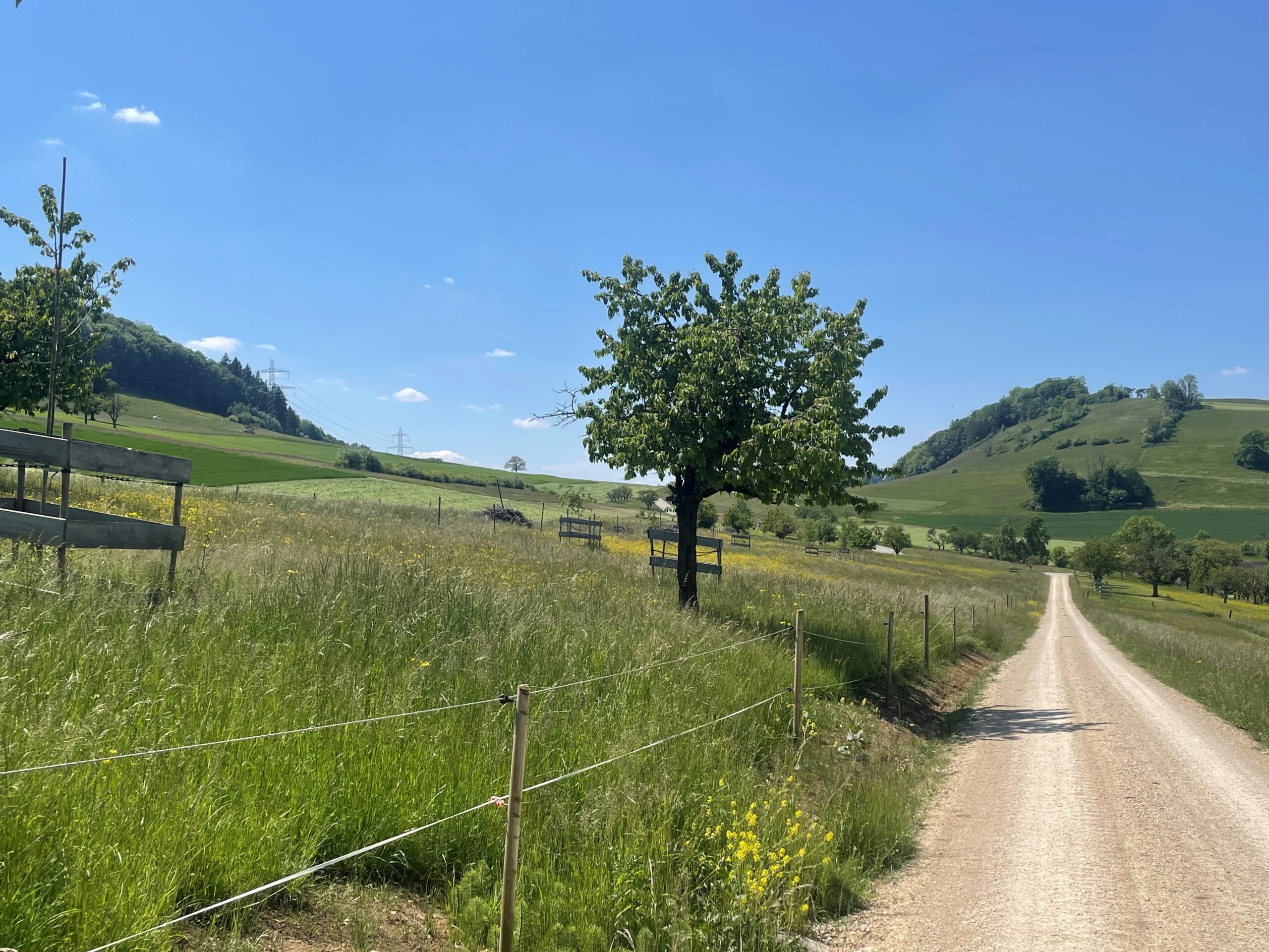 Sophie und Karl Binding Stiftung | Gesuche